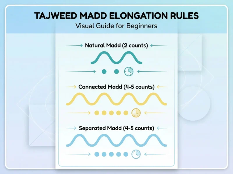 Scale showing counts for different Madd rules in Tajweed