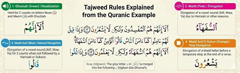 Learn tajweed easily with visual color coding for Arabic letters and rules
