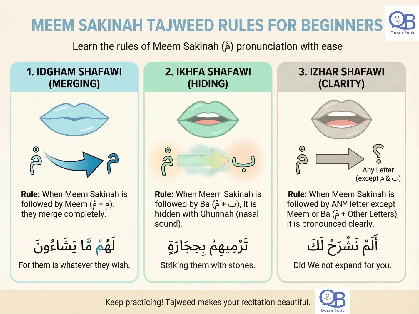 Meem Sakinah tajweed rules diagram showing Idgham Ikhfa Izhar Shafawi