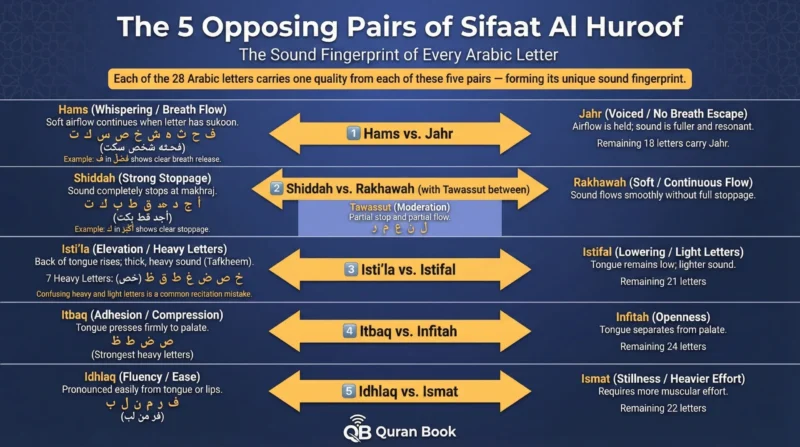 The 5 pairs of Sifaat Al Huroof with opposites – hams in tajweed, shiddah tajweed, and 7 heavy letters tajweed explained