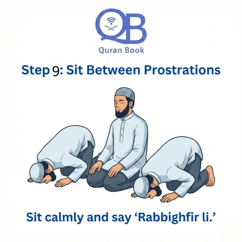 Sit Between the Two Sujud