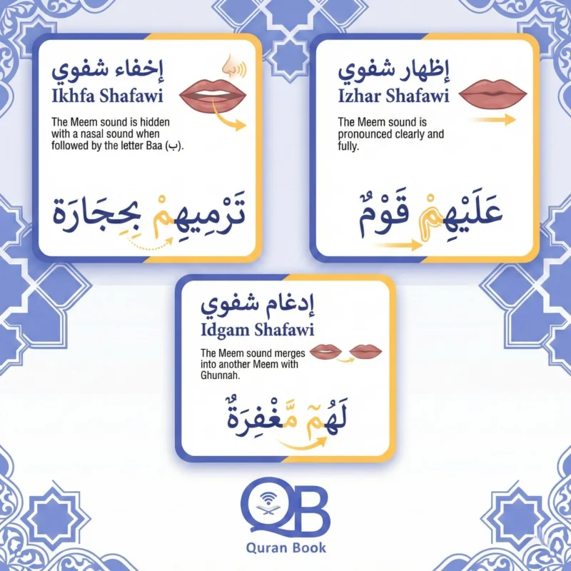 Visual table of Meem Sakinah Tajweed rules for beginners