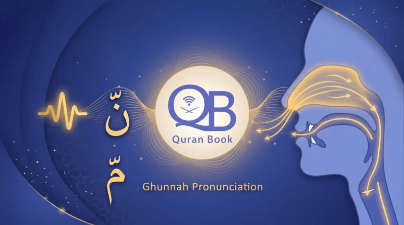 How to pronounce Ghunnah with a cross section of the mouth and nasal passage