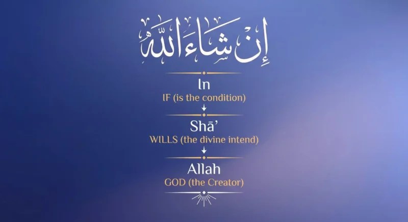 Breakdown of the word inshallah into in shaa Allah