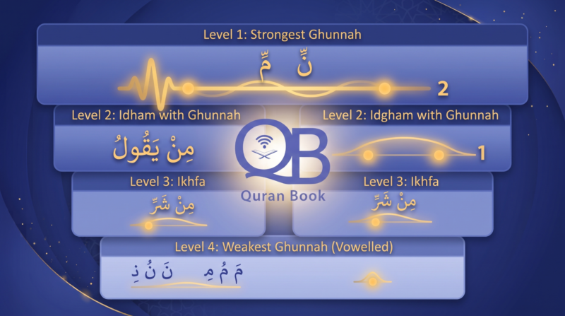 Levels of Ghunnah in Tajweed from strongest mushaddad to weakest vowelled letter