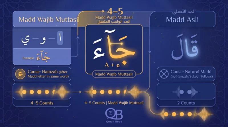Madd Wajib Muttasil versus Madd Asli compared by cause and length