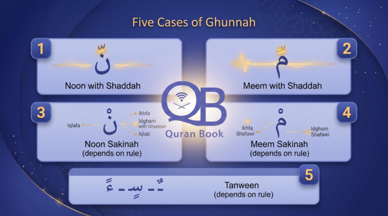 Ghunnah rules with Noon Meem shaddah sakinah and tanween