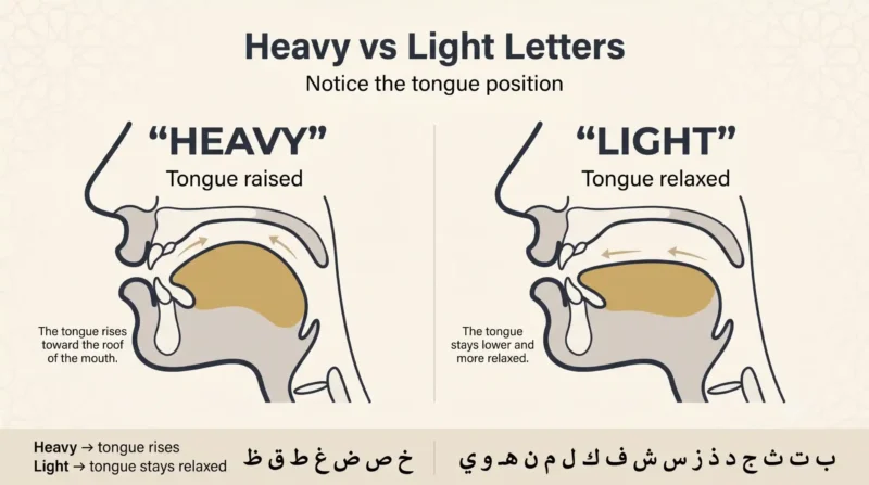 Heavy letters in Arabic vs light letters tongue position diagram