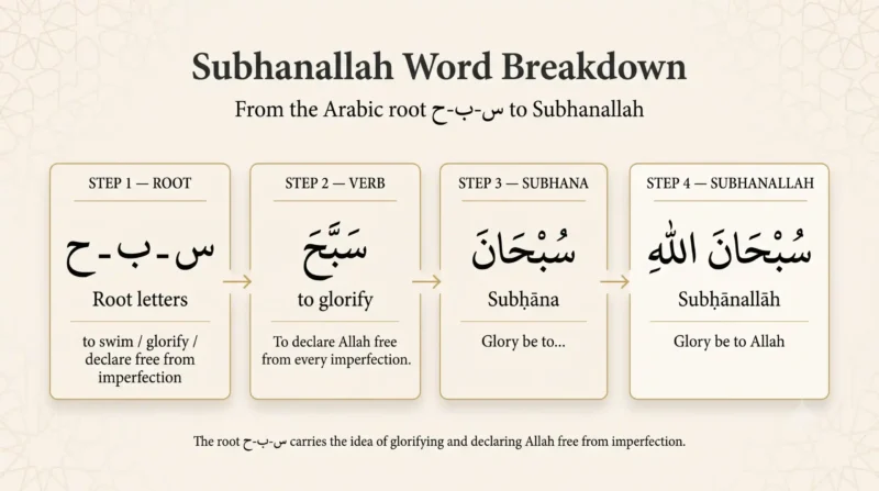 Subhanallah in Arabic broken down by root letters and meaning