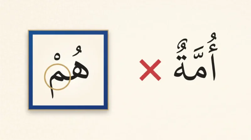 What is Meem Sakinah shown with a sukoon on the meem in Tajweed