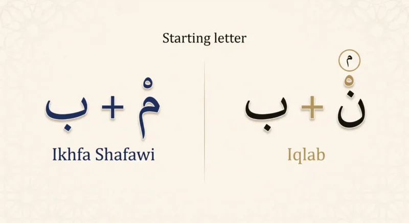 Ikhfa Shafawi compared with Iqlab in Tajweed showing the difference in starting letter
