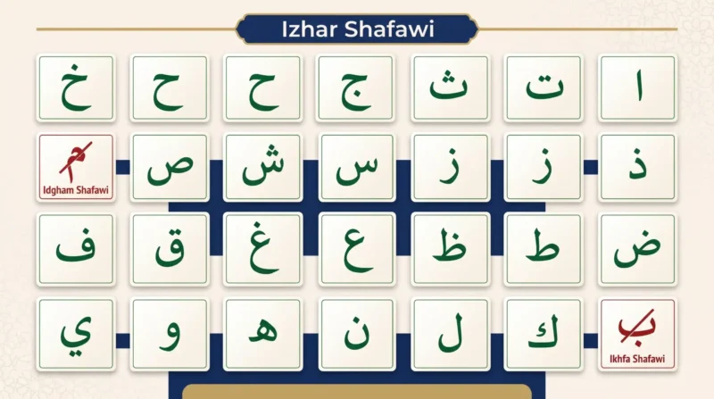 The 26 Izhar Shafawi letters with meem and ba excluded from the rule