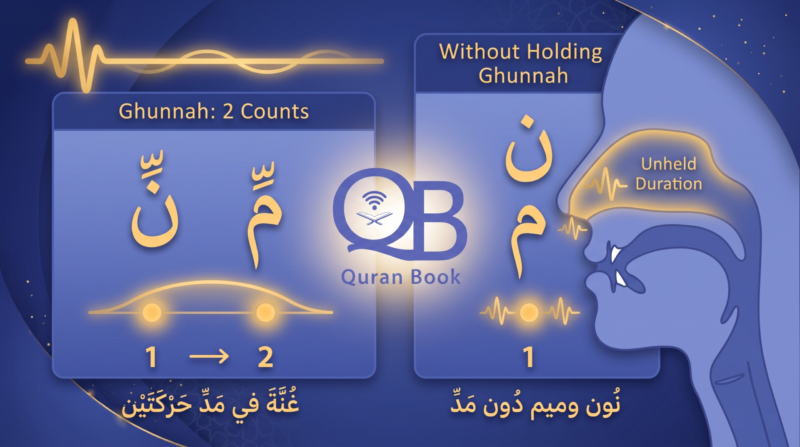 Ghunnah held for two counts compared with an unheld Noon and Meem