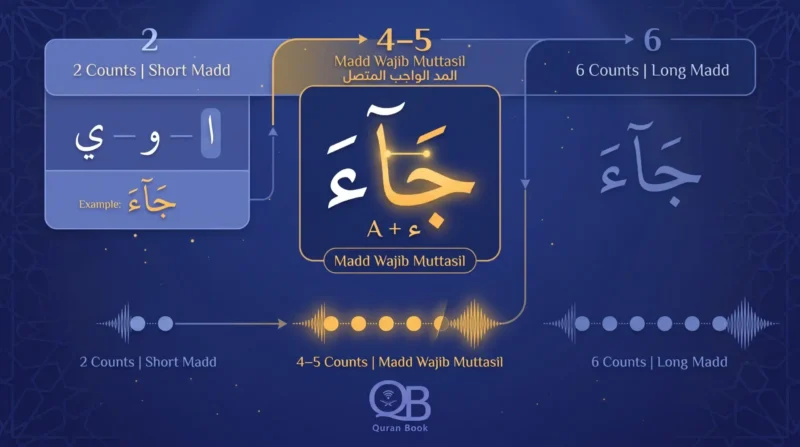 Madd Wajib Muttasil four or five beats compared with two and six count madds