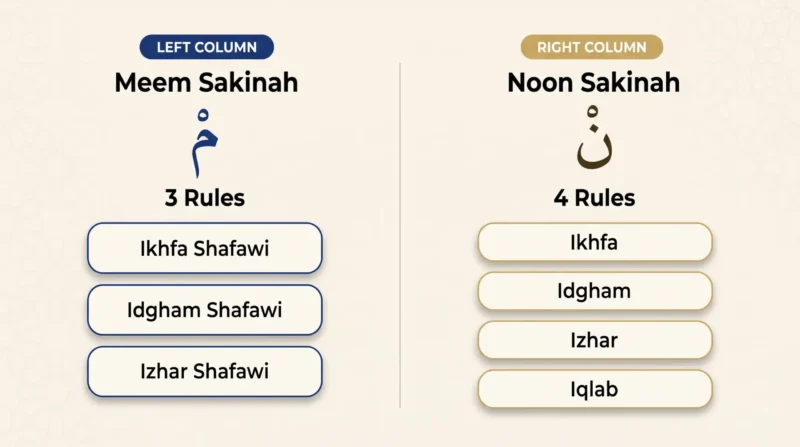 Meem Sakinah rules compared with Noon Sakinah rules in Tajweed