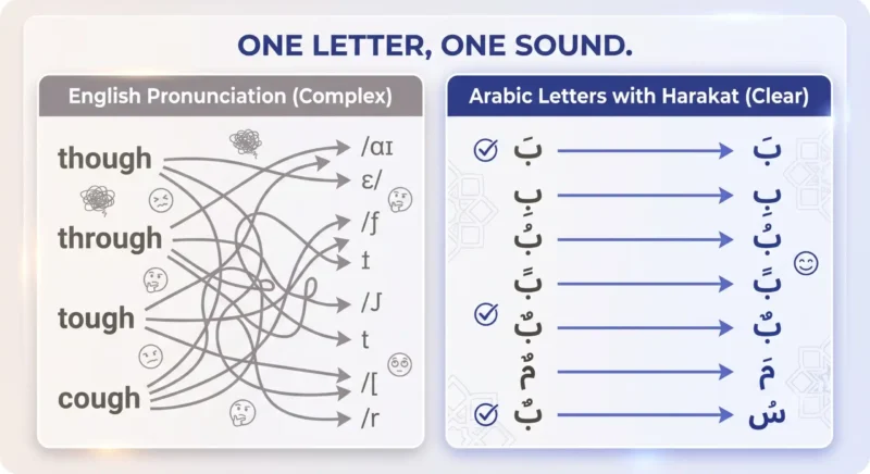 Arabic alphabet phonetic consistency compared to irregular English spelling