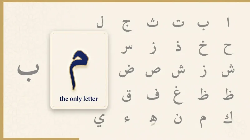 Idgham Shafawi letters showing meem as the only trigger letter
