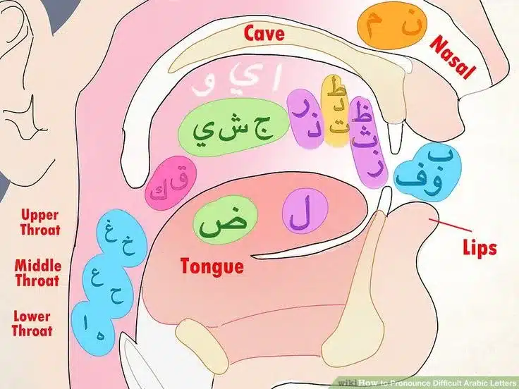 the five qalqalah letters and their points of articulation