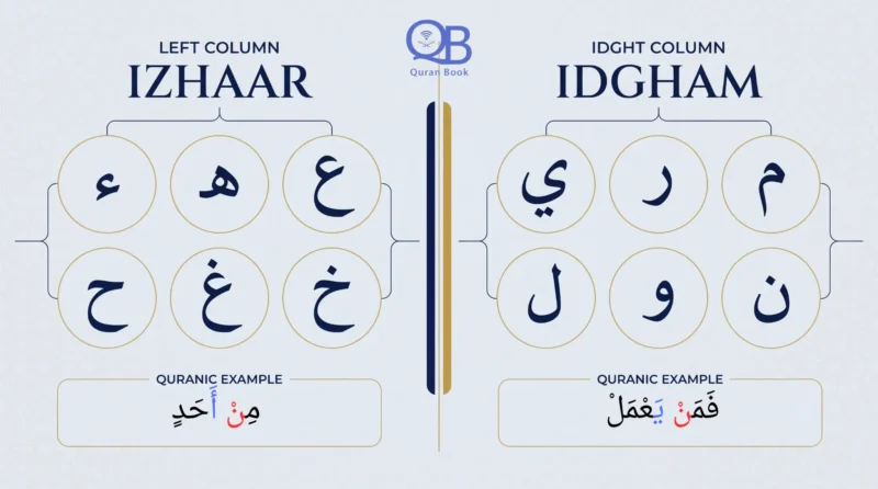 Izhar and Idgham letters in Arabic with Quranic examples